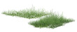 © Saharattaphum - grass isolated on white background/Dense green grass and natural ground vegetation forming a fresh, wild meadow texture on a white background.