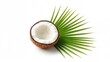 © VRVisionary - Tropical fruit accompanied by coconut milk, featuring a halved coconut and a palm leaf, beneficial fiber-dense choice