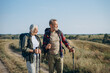 © sashafolly - Active pensioners friends exercise Nordic walking in fall farmland