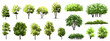 © Wattanapong - Vertor set of green tree,plants side view for landscape elevations,element for backdrop,eco environment concept design,watercolor greenery scene,shrub