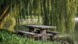 © TheWaterMeloonProjec - Old wooden trunk table and benches beside a river, showcasing the lush weeping willow in the foreground, seasonal change