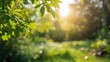 © pngking - Lush greenery in a vibrant eco garden with a blurred summer backdrop, ideal for editorial header background