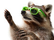 © Asier - Raccoon with green sunglasses isolated.