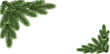 © Supernova - Festive green fir branches decorating corners of a festive background with subtle sparkling effects