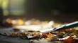 © Craft - Autumn leaves with gardening tool, sunlit outdoor setting, close - up view, copy space