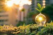 © Irfanan - Sunlight Shining Through a Lightbulb with Growing Plant