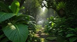 Lush green jungle path with sunlight filtering through the dense foliage, creating a serene scene