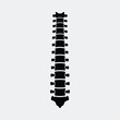 © Pixel Box - Silhouette human spine anatomy chiropractic backbone skeletal system vector illustration