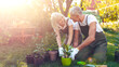 © Prostock-studio - Two people are engaged in gardening activities in a backyard. They smile while planting flowers in pots. The sun shines brightly, enhancing the cheerful atmosphere of their gardening day.