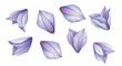 © masud - Delicate Watercolor Petals in Shades of Lavender and White, Scattered Artfully for a Soft and Elegant Aesthetic