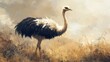 © maul - Ostrich, its feathers like dramatic black and white plumes, long neck elegant, curious eye, bright savanna light
