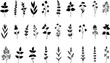 © jamiul - Set of botanical herb and flower silhouette vector graphics, wild floral plant leaves, vintage medicinal foliage nature clipart illustration collection.