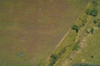 © Andrii Chagovets - Vertical aerial photograph showing a sharp diagonal boundary between two fields with contrasting colors. A line of small white markers defines the border.