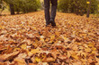 © ADDICTIVE STOCK - Autumn walking in boots along a path covered with leaves