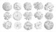 © Pixel Park - Fifteen diverse grey dot art trees viewed from directly above showing varied canopy shapes and branch structures on a white background