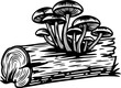 © smth.design - Mushrooms growing on fallen tree log fungi cluster, nature wood decomposition, forest ecosystem illustration
