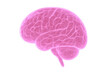 © Krtola  - Human brain illustration displaying abstract thinking. Neuroscience, intelligence and futuristic medical concept with transparent background