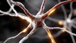 © imagineRbc - Neurons are firing, showing electrical activity. The signals transmit throughout the brain