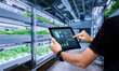 © panuwat - Smart farming argriculture concept.Man hands holding tablet on blurred organic hydroponic vegetable garden as background