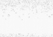 © Natallia - White_petals_transparent_background_231.eps
