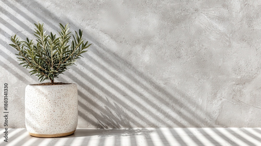 A small green plant sits in a speckled white pot on a light surface. Shadows from sunlight create a pattern on the textured grey wall, adding depth to the serene scene.