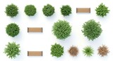 Top view collection of diverse plants and park benches set isolated on white background