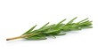 © Sumitra - Fresh rosemary sprig isolated on white background, aromatic herb for cooking