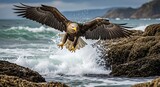 Majestic eagle soaring above ocean waves near rocky shore, hunting.