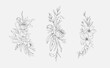 © merfin - Botanic set of detailed various flowers and brunch. Luxury vintage floral collection for wedding invitation, wallpaper art or save the date card. Botanical vector illustration
