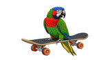 Colorful Parrot riding a skateboard illustration isolated PNG with Transparent Background