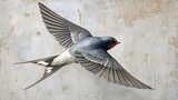illust n of a swallow captured mid flight highlighting its aerodynamic form and detailed feathers against a rustic weathered background