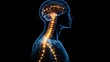 © ainynoer - Illustration showcases the neural pathways of human nervous system, emitting vibrant impulses from the brain down the spine, symbolizing neurological function and health in an abstract human form.