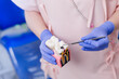 © Parilov - Top view Female dentist demonstrating tooth anatomy model with caries and nerve canal problems showing with tools