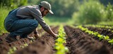 Farmer works on plants in cultivated field. Man plants seedlings at brown earth in garden. Person grows plants, regenerates soil in field, supports eco agriculture.