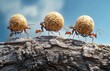 © tiger - Three red ants carrying round food balls across textured tree bark under a bright blue sky, showing teamwork, determination, and hard work