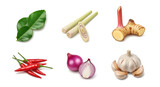 Fresh culinary herbs and spices on transparent background