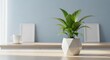 © K1drock - Minimal minimalist kitchen scene with a single green plant on a bright wooden counter and soft natural light