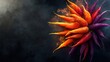 © DnQajik - Artistic explosion of colorful rainbow carrots arranged like a firework burst on dark background