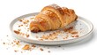 © mohammedsalim - Freshly baked croissant on a white plate - studio shot