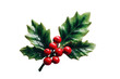© adri - Close-up of a stylized holly sprig brooch