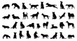 © Yanka - dog and puppy silhouette set. dog and puppy different breed. greyhound, pug, shepherd, French bulldog and others isolated farm animal silhouette icon vector collection