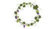 © jomadderrois - A beautiful circular wreath frame made of green grapevine leaves tendrils and purple and green grapes on a white background.