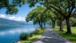© kardaska - Lakeside path winding through trees along a peaceful lake