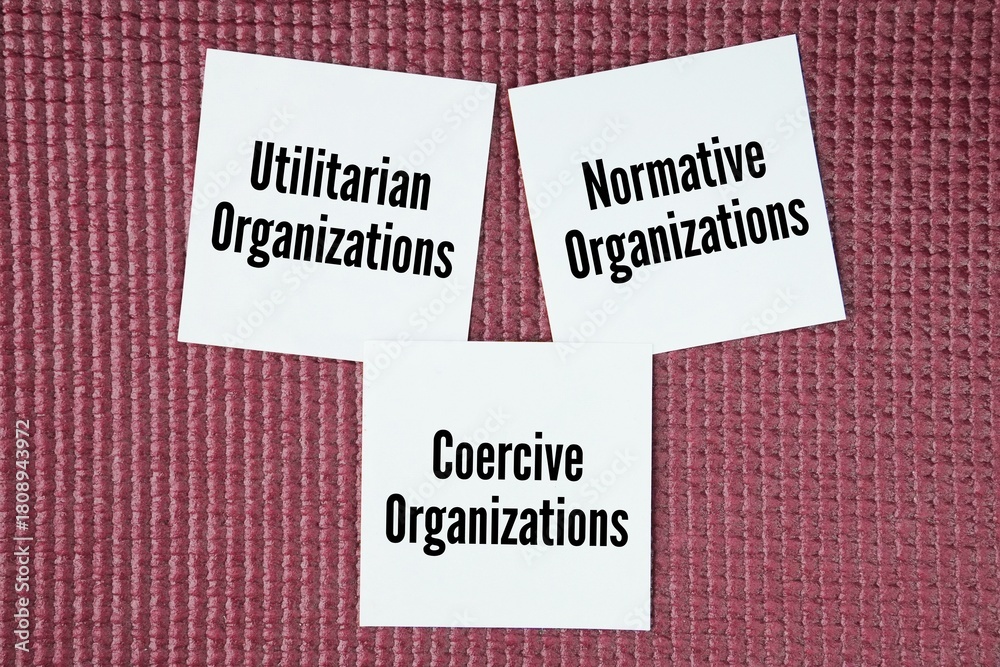 Photo Stock What are the three main types of organization? There are ...