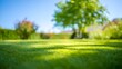 © Yassine - Beautiful blurred background image of lush green lawn under a bright blue sky creating a peaceful and serene outdoor atmosphere