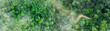 © Kalawin - Aerial view road and green forest, green environment Rainforest landscape with trees and fog - theme conservation,