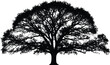 © Vector Sifat - Big oak tree silhouette, black forest plant with detailed branches and leaves, nature vector illustration isolated on white background.