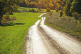 Beautiful view. The road in the autumn forest