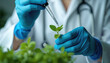 © Maryna - Scientist in white coat, blue gloves carefully examines small green plant. Pipette drops nutrient liquid onto young leaves for agricultural science. Lab experiment supports plant growth botany,