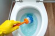 © Maryna - Person in yellow glove cleaning toilet bowl with brush. Hand holding orange and blue toilet brush. Cleaning service concept with white toilet and wooden floor.